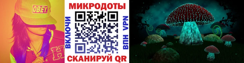 Галлюциногенные грибы прущие грибы  Купить  Тобольск 